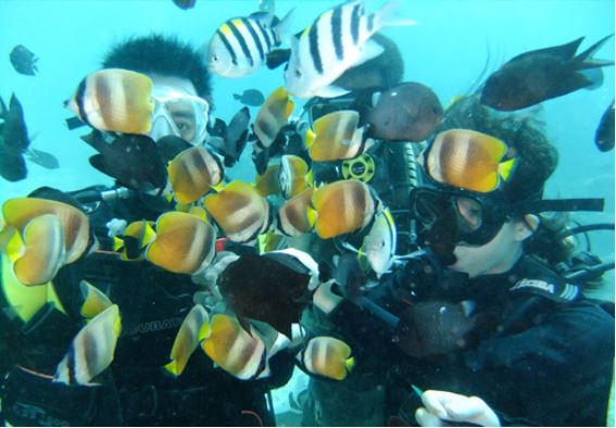 Boracay｜Diving and Beauty package (Three in one, 1 day experience)