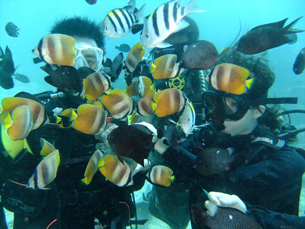 Scuba Diving (For Beginners)