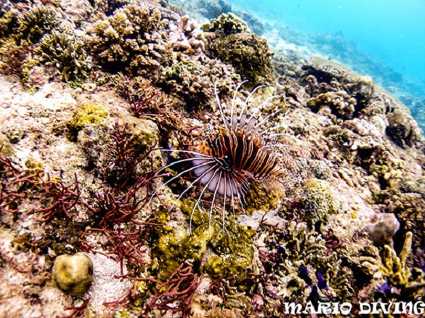 Boracay Discover Scuba Diving