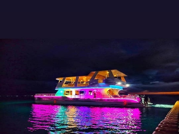 Luxury Party Yacht at Hindi malilimutan mga Pakiki   Maligayang pagdating sa Red Whale! Nag aalok ang mga party yate sa 