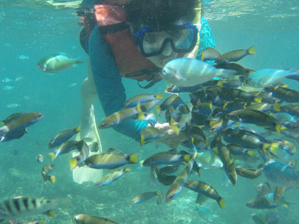 Island Hopping (Small Boat, Bangka)