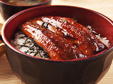 Unagi Don (Eel with rice)