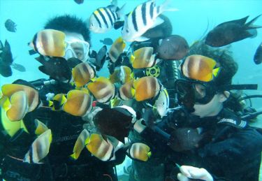 Scuba Diving